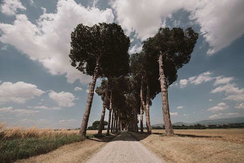 Tenuta Pantano Borghese