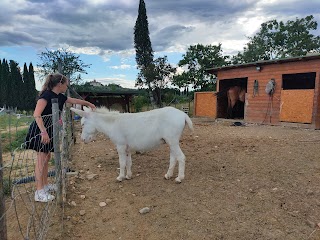 OVA Orto Verde Animali