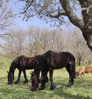 Horse Village A.S.D.E. sede di Ragalna