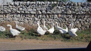 masseria cantagallo