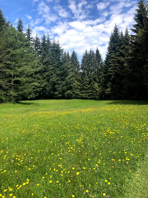 Agriturismo La Casa Nel Bosco di Falciprato