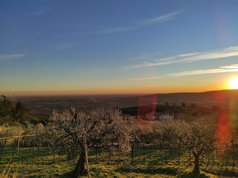 Agriturismo Casa Rosa Verona