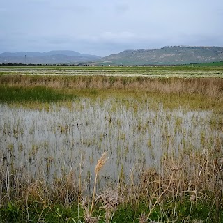 Geloi Wetland visitor center