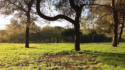 Teatro Del Parco Di Tor Tre Teste