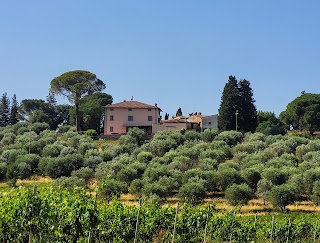 Organic Tuscany Cooking Classes