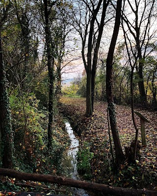 Bosco della Fratta