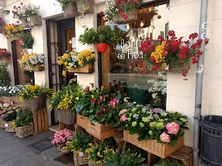 La Bottega dei Fiori. Fioreria Vicenza