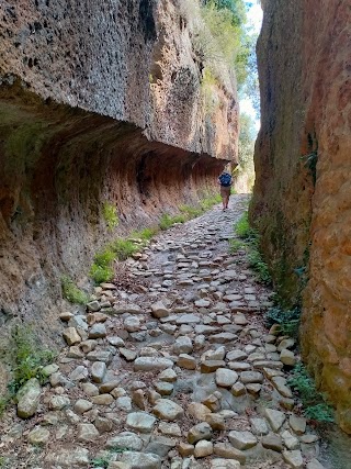 AMICI DELLA VIA CLODIA