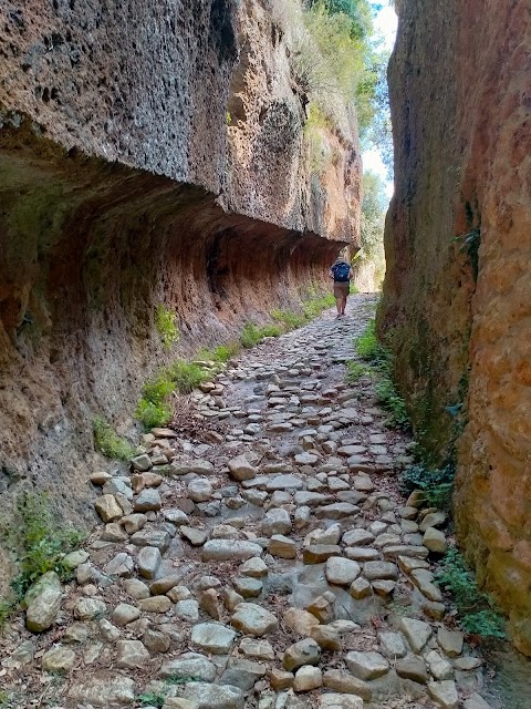 AMICI DELLA VIA CLODIA