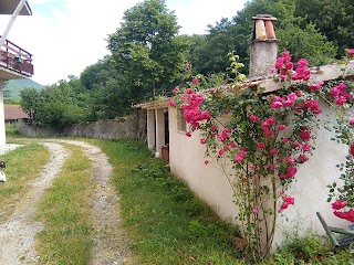 Fattoria Campogelato