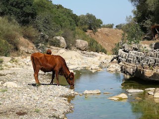 Sentiero Fluviale Furiano