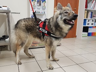 Ambulatorio Veterinario Dott. Rezzani Chiara