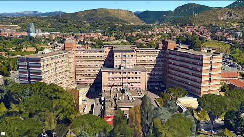 Azienda Ospedaliera Santa Maria