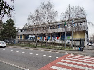 Saronno Servizi S.S.D. Piscina