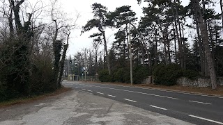 Scuola dell'Infanzia Statale Silvio Rutteri