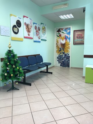 Centro Odontoiatrico Dentalgaia