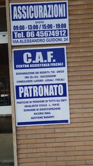 ASSICURAZIONI PRIMARIA DI CIAMPINO