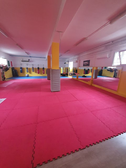 Fit&Fight Gym Mestre