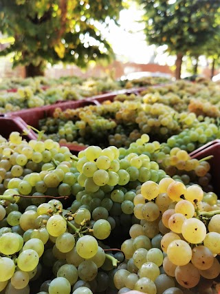 Cantina Erbaluce di Caluso