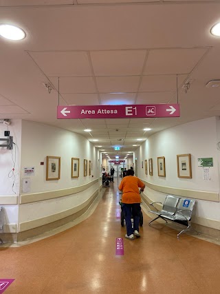 CTO Centro traumatologico ortopedico - Padiglione 25 - AOUC Azienda Ospedaliero-Universitaria Careggi