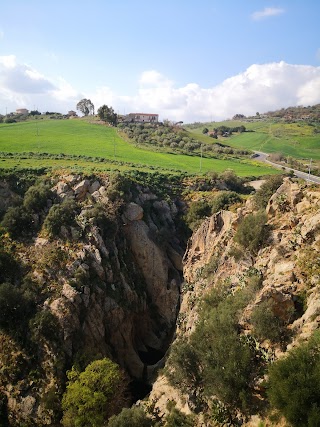 Torrente Tina Del Drago