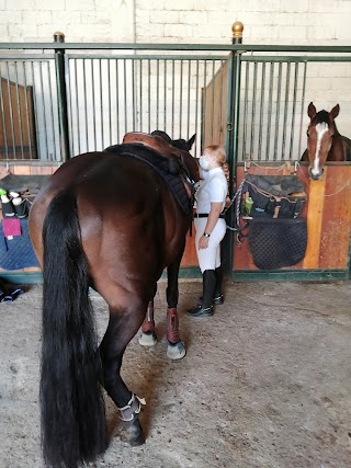 Centro Equestre Le Siepi