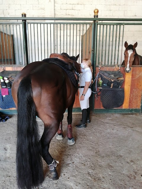 Centro Equestre Le Siepi