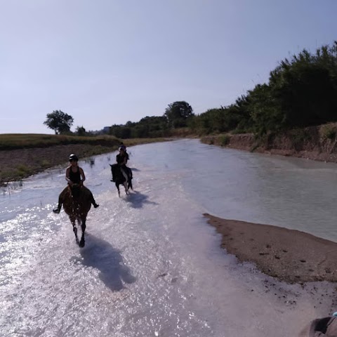 AGRITURISMO IL CAPANNONE