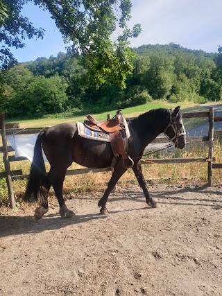 Maneggio Fil-ippo Castellaro Ranch