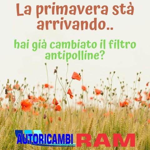 Autoricambi R.A.M. Ladispoli