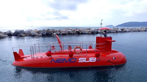 Nemo Sub | Escursioni Procida