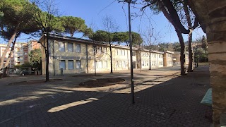 Scuola primaria A. Revere