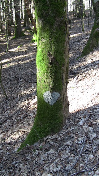 ArteNa - Trekking, Arte e Natura