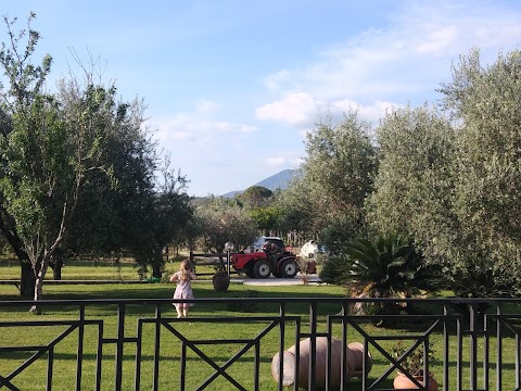 Villa Ulpia agriturismo