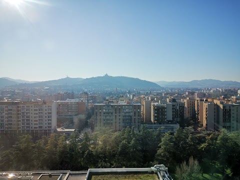 Ospedale Maggiore Carlo Alberto Pizzardi