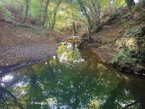 Riserva Naturale Regionale Selva del Lamone