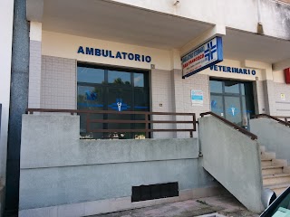 Ambulatorio Veterinario San Francesco Latino Dr. Antonio
