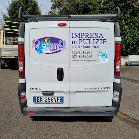 Impresa Pulizie Ronny