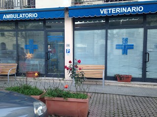 Ambulatorio Veterinario - Dr. Merildi - Dr. Picciolli