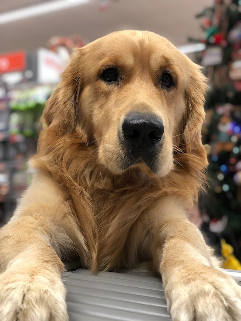 Pet Store Conad Negozio per animali