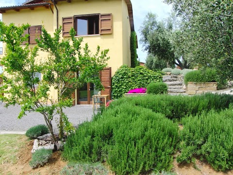 Bed and Breakfast Hotel Locanda Degli Etruschi