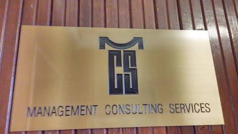 Management Consulting Services Srl