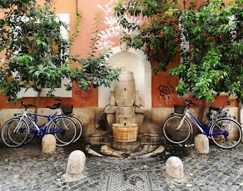 Fontana della Botte