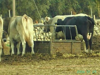 Azienda Agricola Grappone