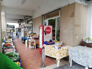 Accademia della frutta S. a. S.