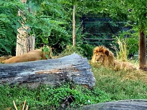 parco zoologico di Zagreb