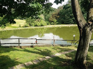 Lago Sportivo Parco Di Veio