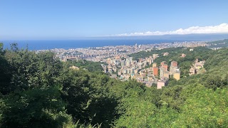 Giardini dei Camaldoli