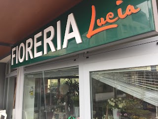 Fioreria "La Floreale di Lucia" dal 1983