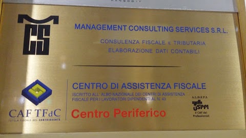 Management Consulting Services Srl
